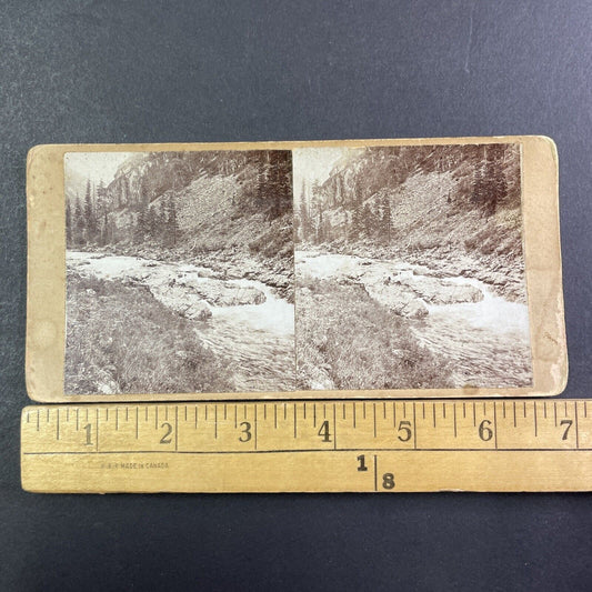 Kumir River Altai Siberia Russia Stereoview IR Tomashkevich Antique c1896 X2622