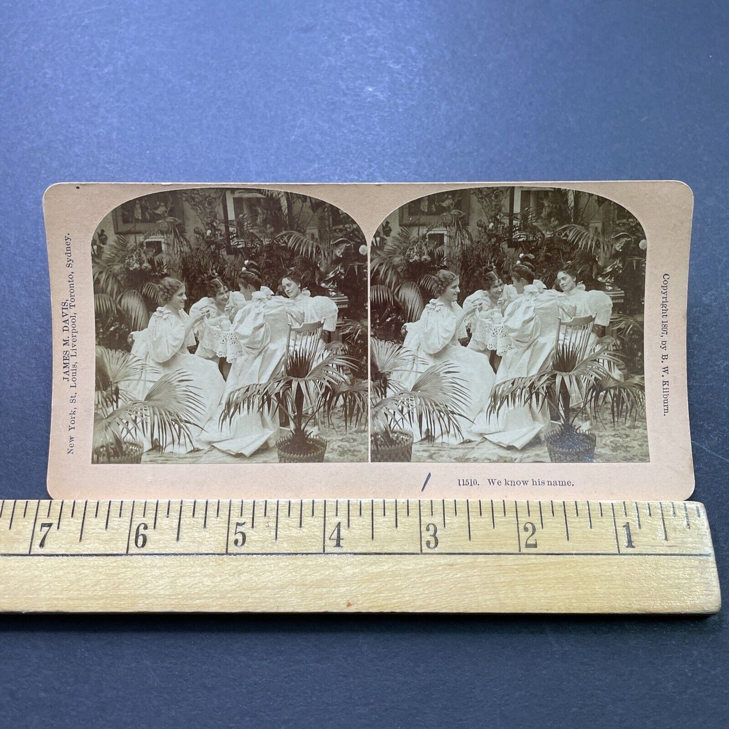 Antique 1897 Wealthy Women Gossip Over High Tea Stereoview Photo Card P1981