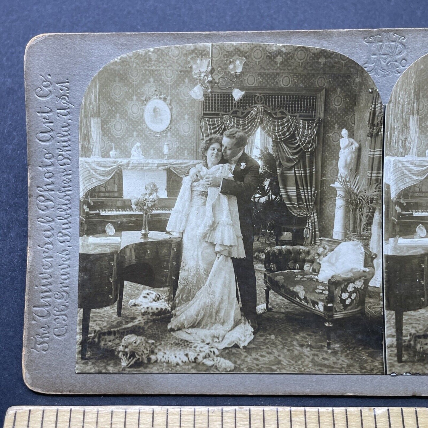 Antique 1901 Roaring Cheetah Skin Rug In Parlor Stereoview Photo Card P2581