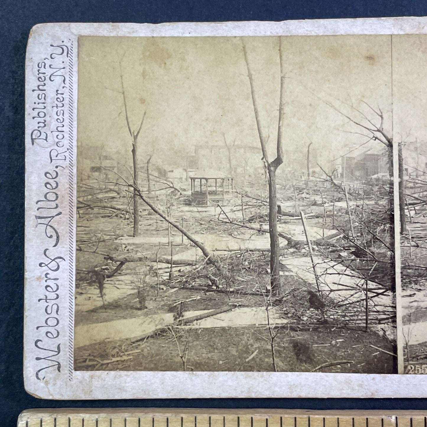 Louisville Kentucky F4 Tornado Disaster Stereoview Baxter Park c1890 X3741