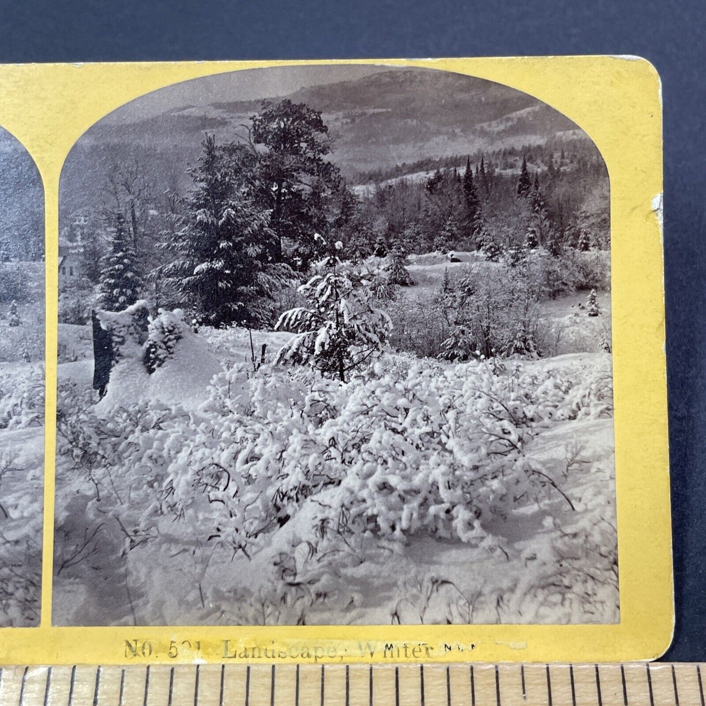 Antique 1874 Great Blizzard Of '74  Near Conway NH Stereoview Photo Card V1767