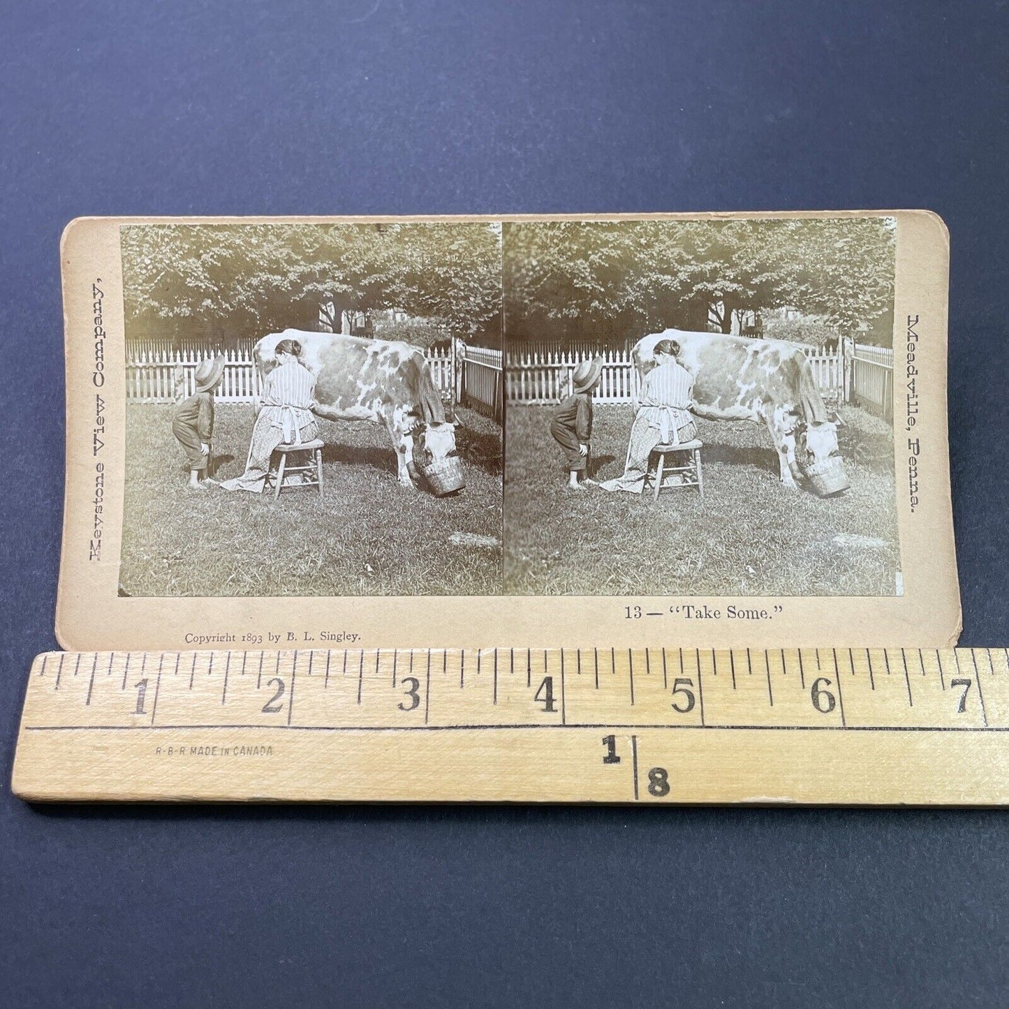 Antique 1893 Woman Squirts Milk Into Boy's Mouth Stereoview Photo Card P3117
