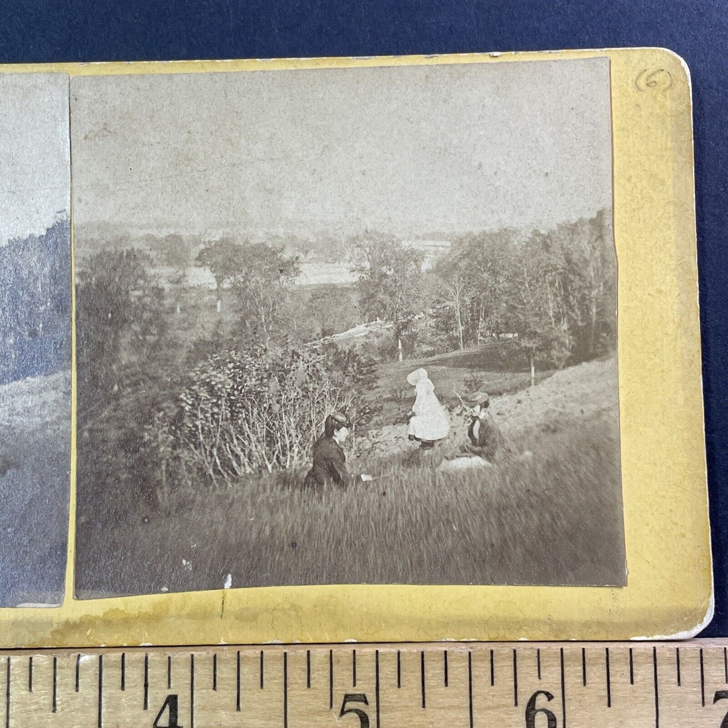 Women Picnic In Boscawen NH Stereoview MC Harriman Antique c1875 X1219