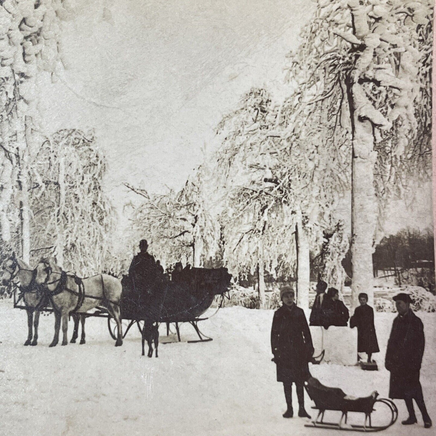 Christmas Sleigh Rides in Winter Stereoview Niagara Falls Antique c1893 Y1787