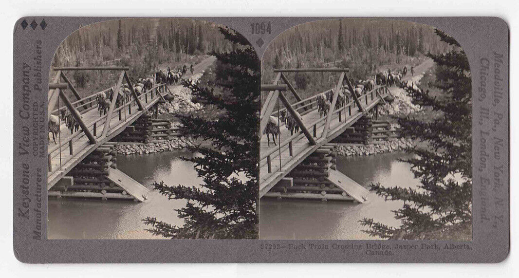 1902 Convoy Of Horses & Cowboys On A Bridge In Jasper Alberta Stereo Card P407