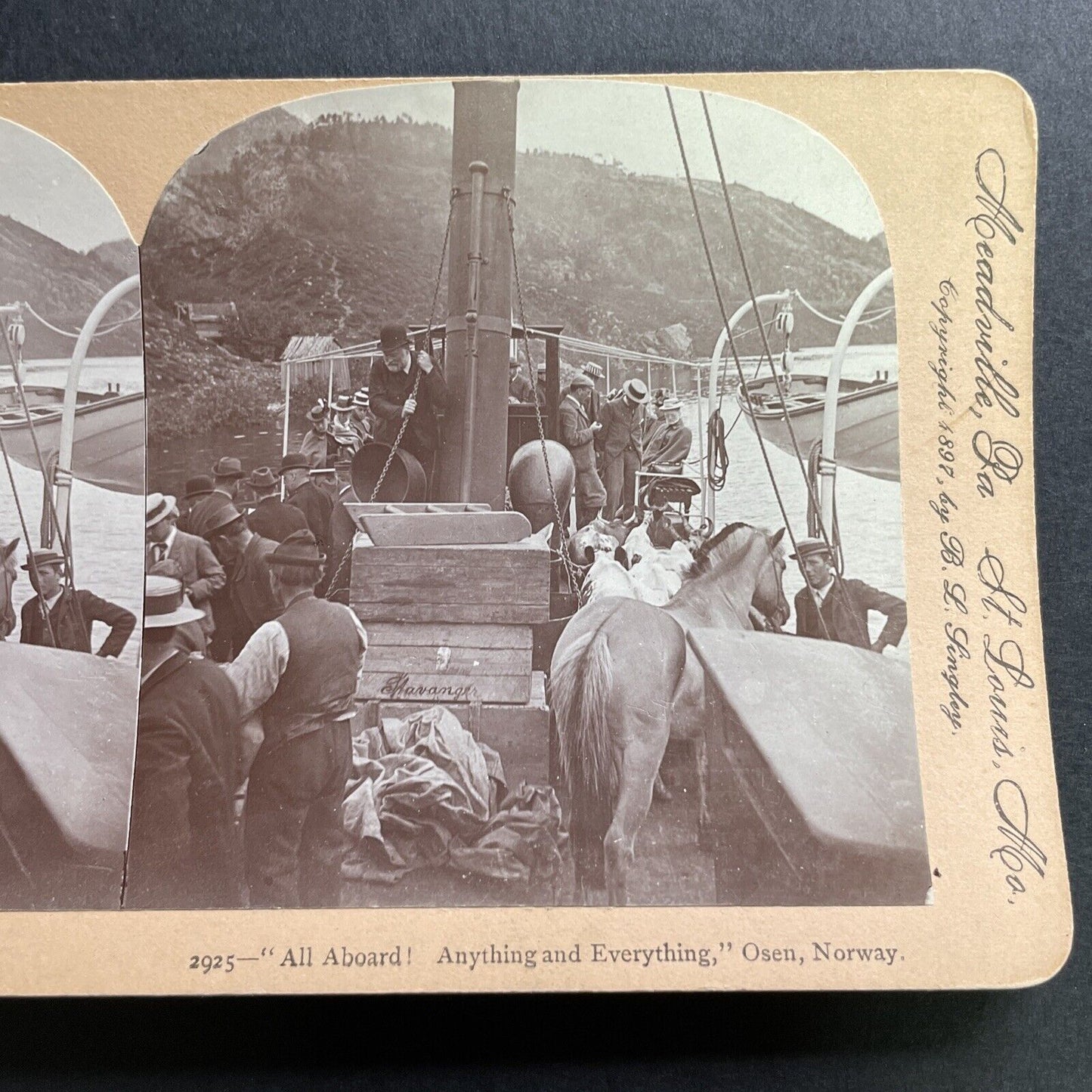 Antique 1897 Livestock Ferry Osen Norway Stereoview Photo Card P1574