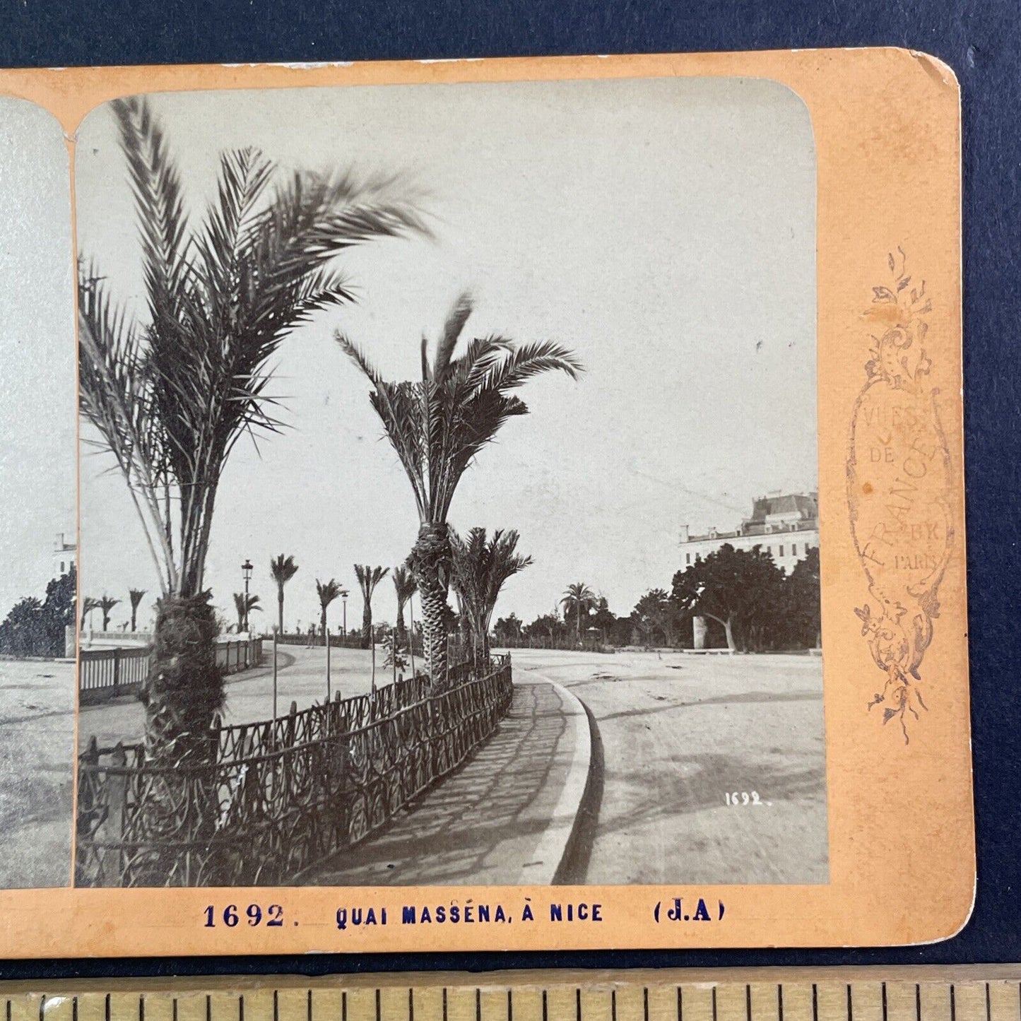 Palm Trees in Nice France Stereoview Jean Andrieu Antique c1870s X3833