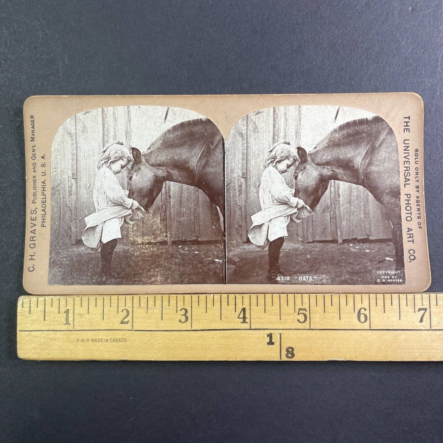 Girl Feeding Horse Oats Stereoview 16.66 Cent Backstamp Antique c1894 X2831