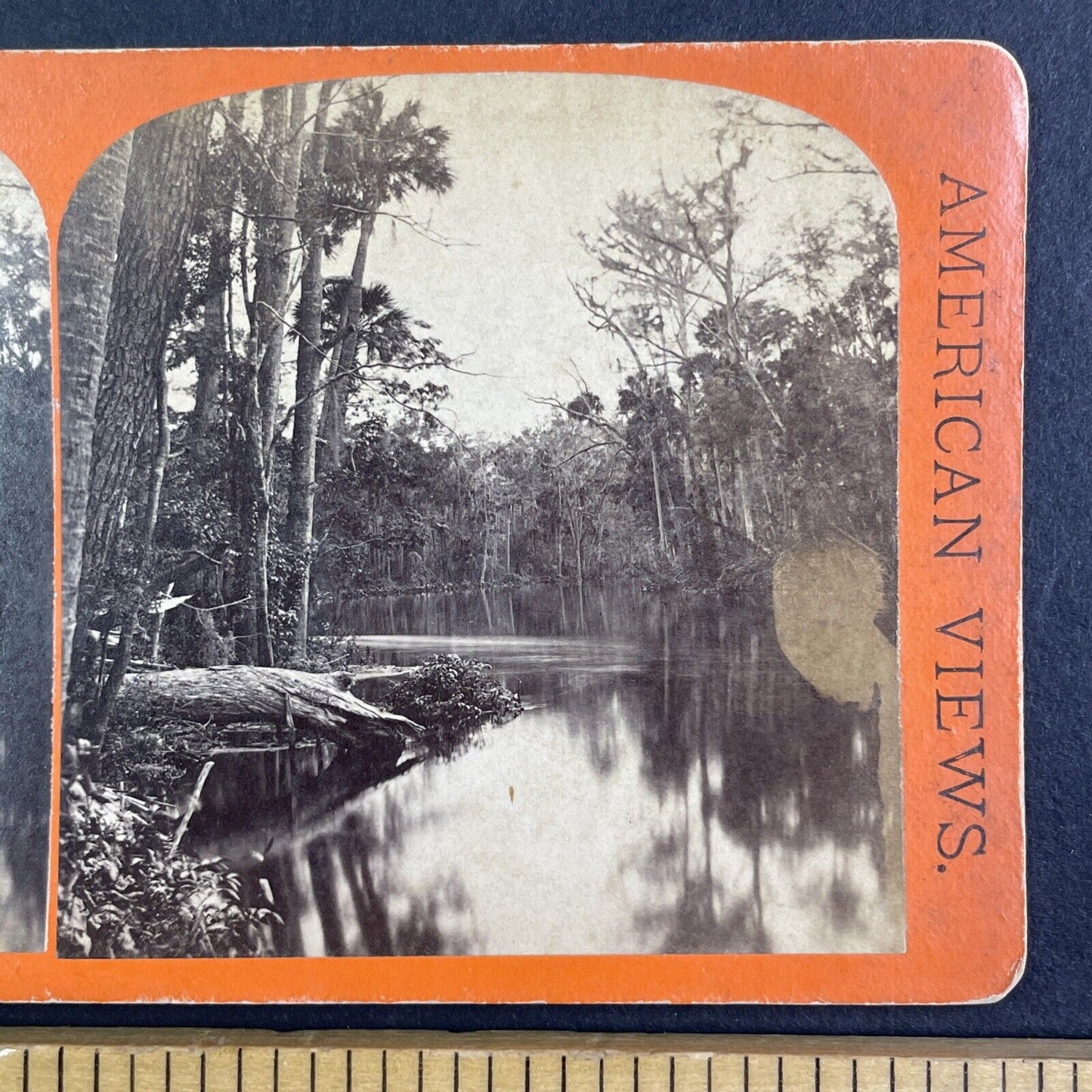 View from Sharpes Ferry Bridge Florida Stereoview E&HT Anthony c1869 X3858