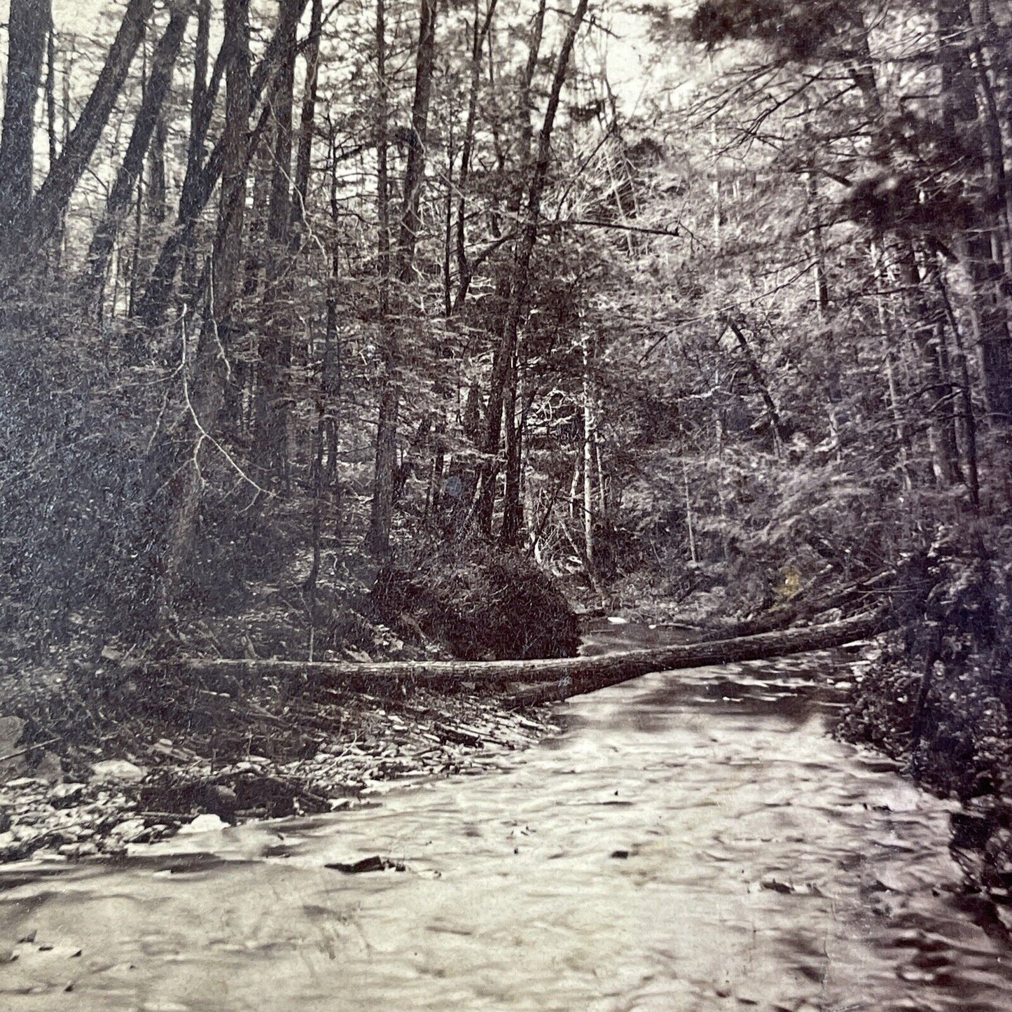 Northern Central Railroad Stereoview Watkins Glen Chaos C.M. Marsh c1870s Y2246