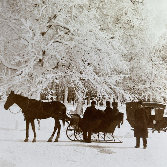 Antique 1905 Sleigh Rides In Niagara Falls New York Stereoview Photo Card P1393