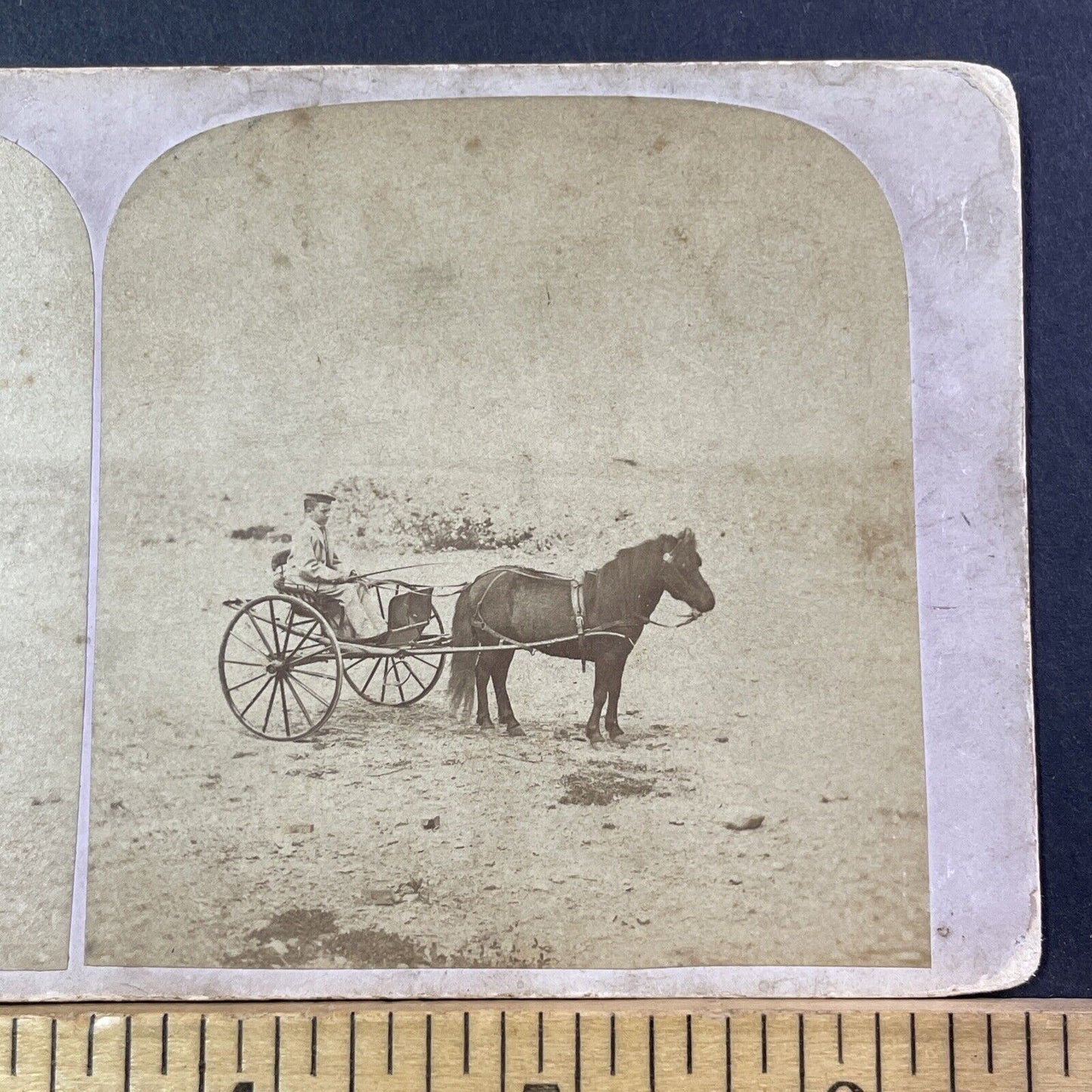 Boston Or Isles Of Shoals Stereoview Pony Wagon Photo Card Antique 1860s X875