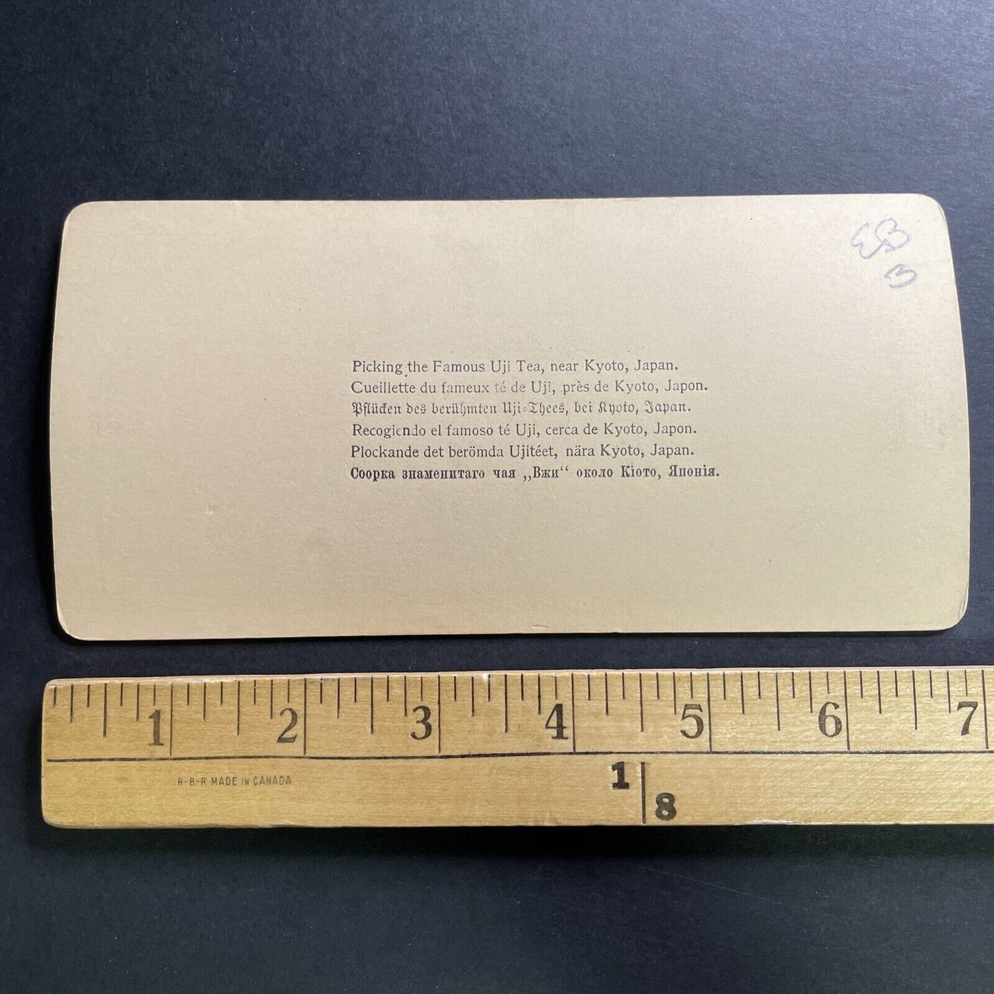 Antique 1896 Women And Children Pick Tea Tokyo Japan Stereoview Photo Card P1500