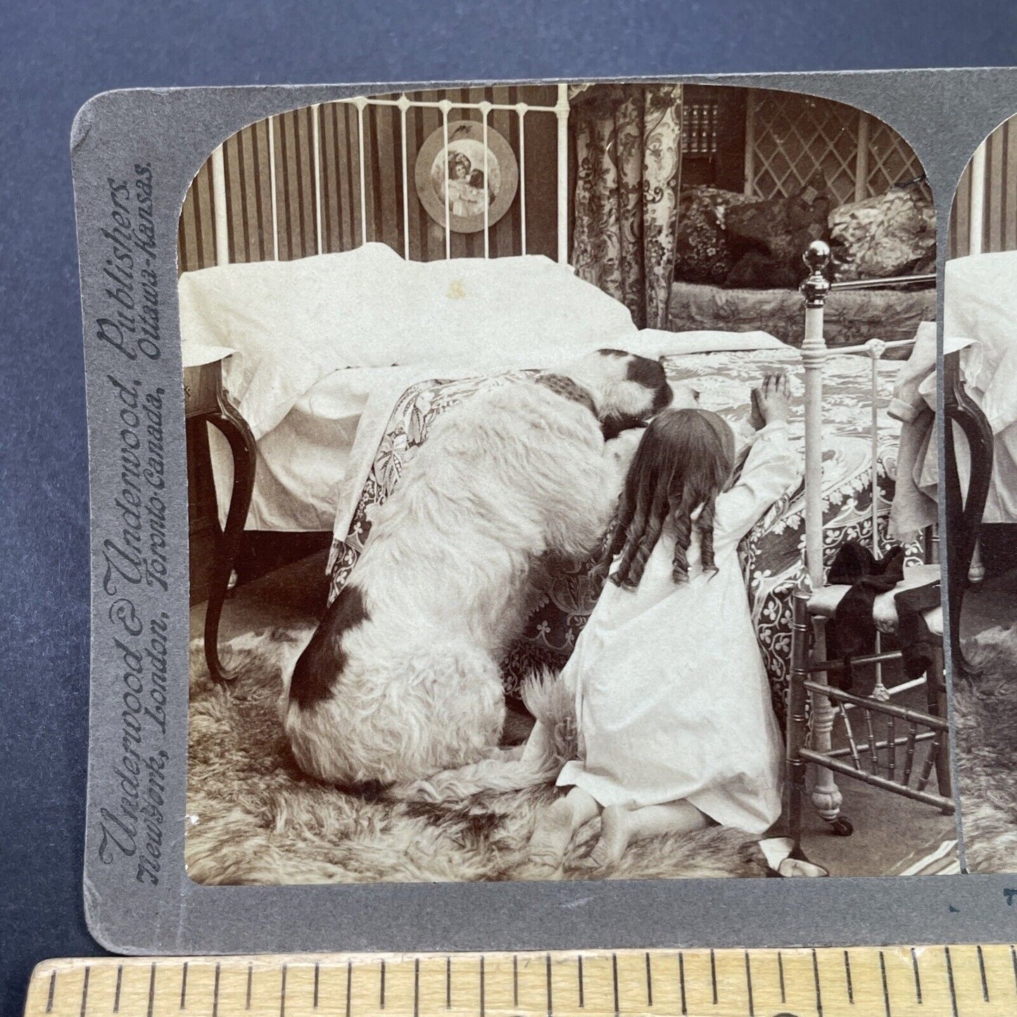 Antique 1905 Child Teaches Dog To Pray Stereoview Photo Card P3114