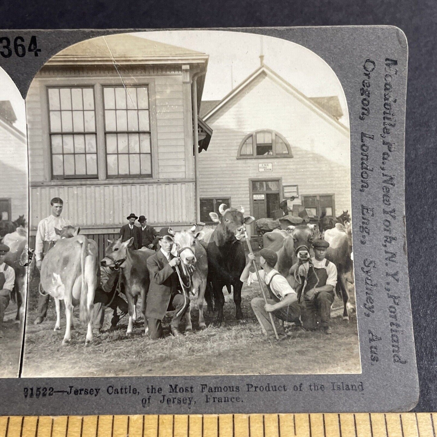 Antique 1910s CNE Fair Grounds Toronto Canada Stereoview Photo Card P4211