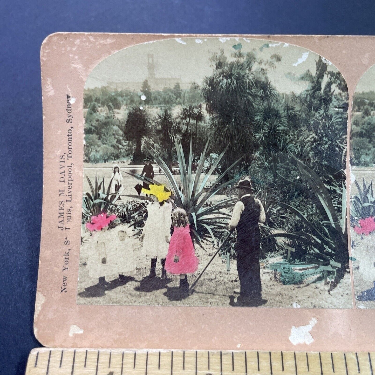 Antique 1903 Victorian Family In Melbourne Australia Stereoview Photo Card P3802