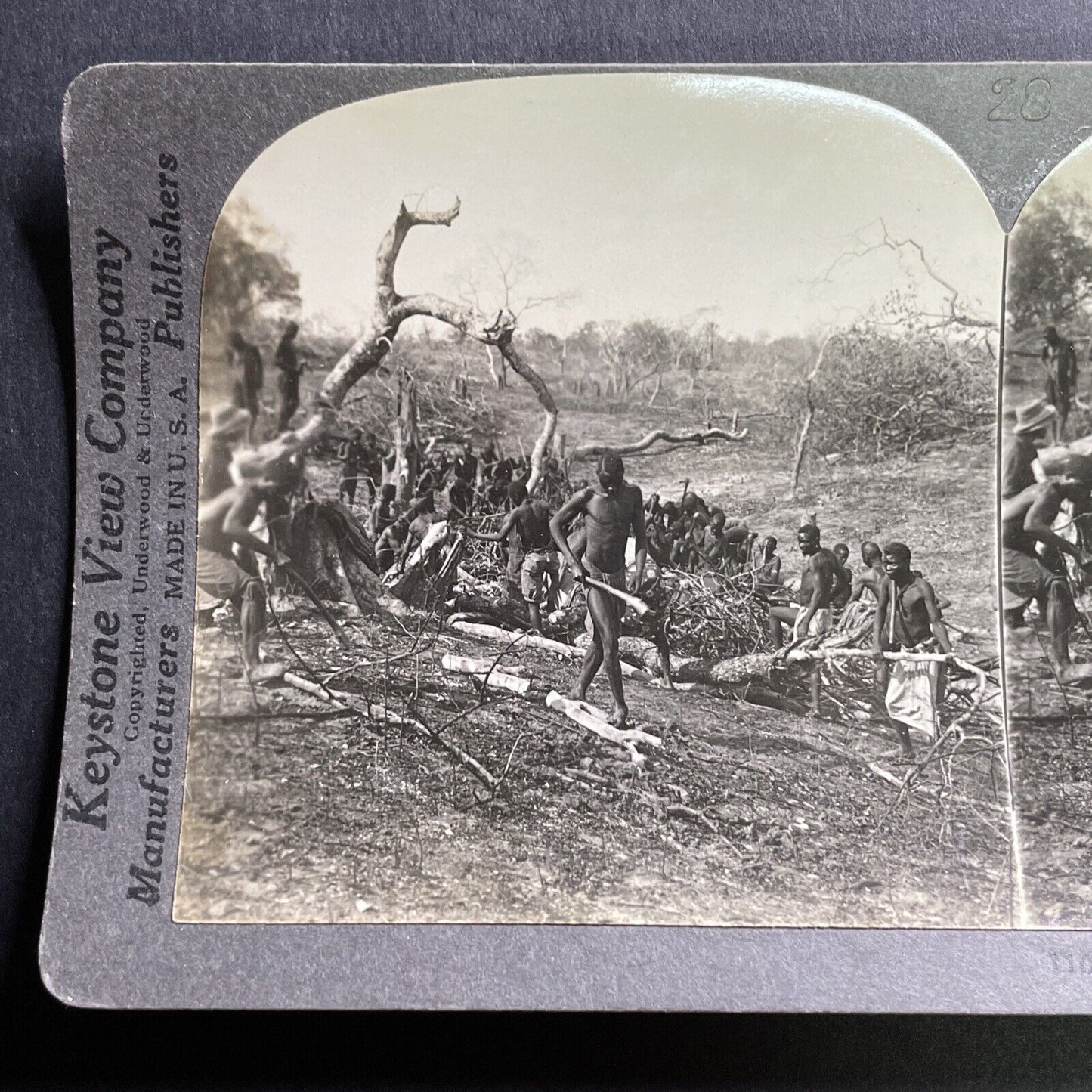 Antique 1919 People In Zimbabwe Clear The Land Stereoview Photo Card P1694