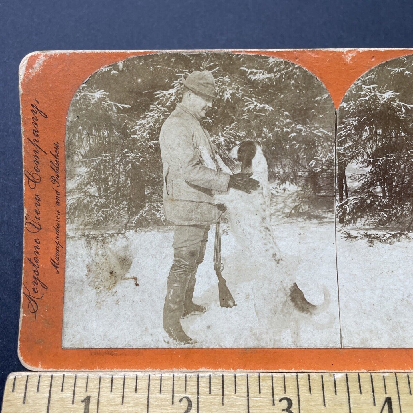 Antique 1895 A Man Pets His Hunting Dog Stereoview Photo Card P2719