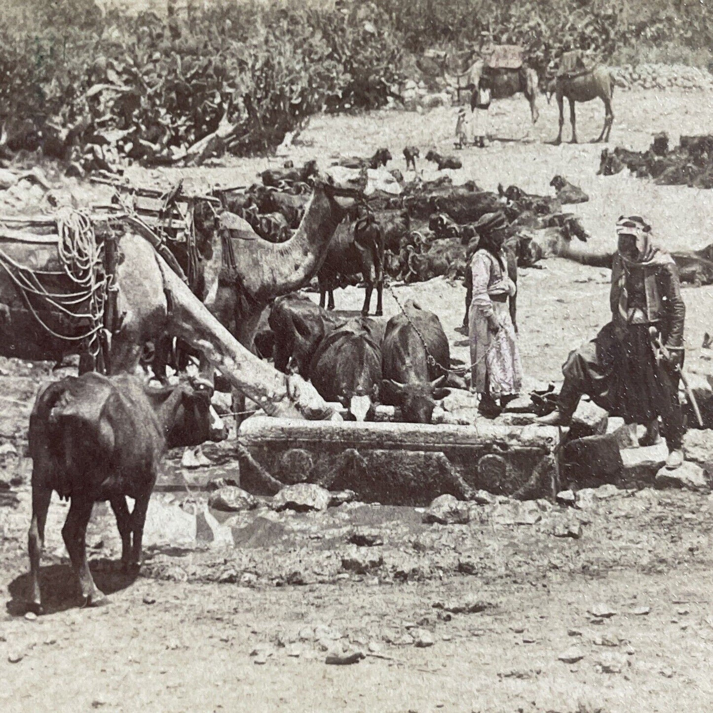 Antique 1898 Cana Of Galilee Spring Fed Well Israel Stereoview Photo Card P4166