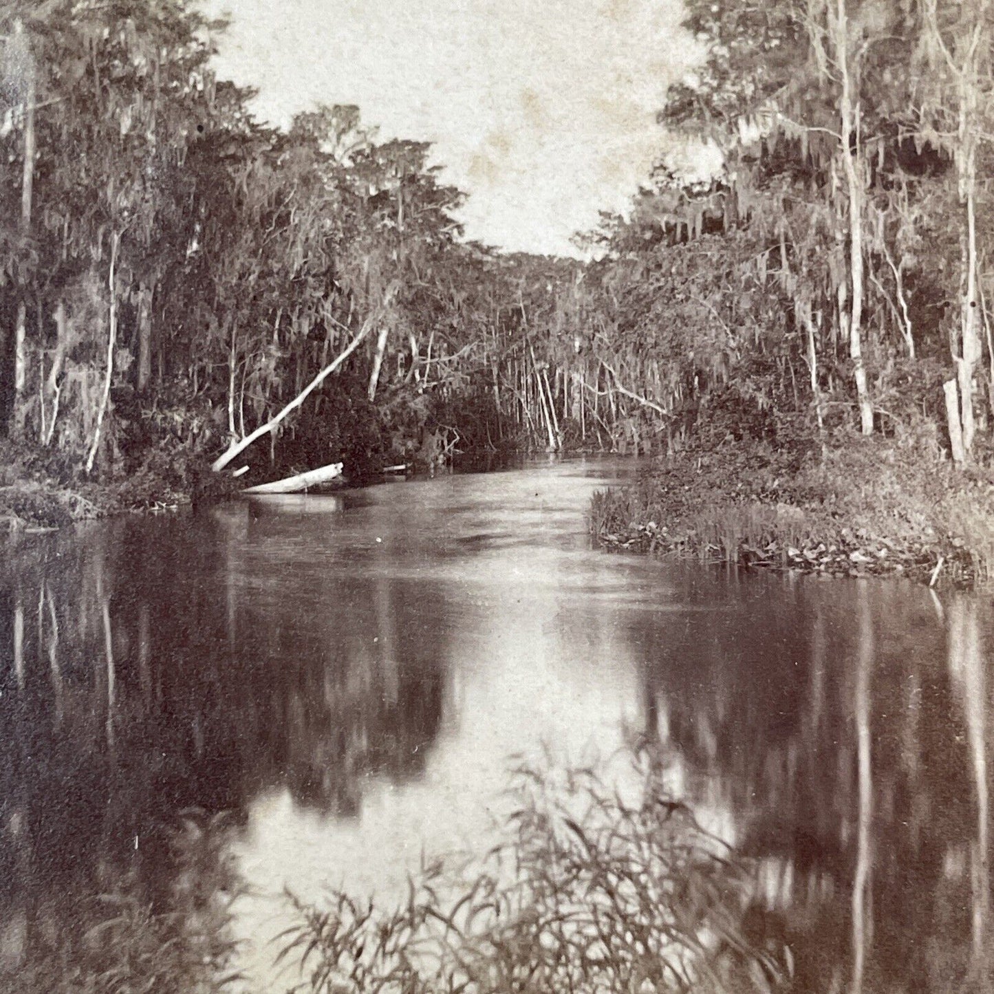 Devils Elbow in East Palatka Florida Stereoview Antique c1885 J.I. Mackey Y089