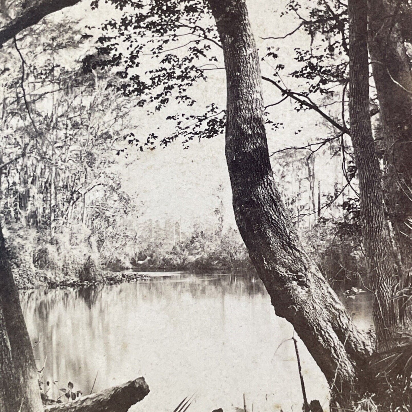 Davenport Landing Oklawaha River Stereoview Florida E&HT Anthony c1867 X3729