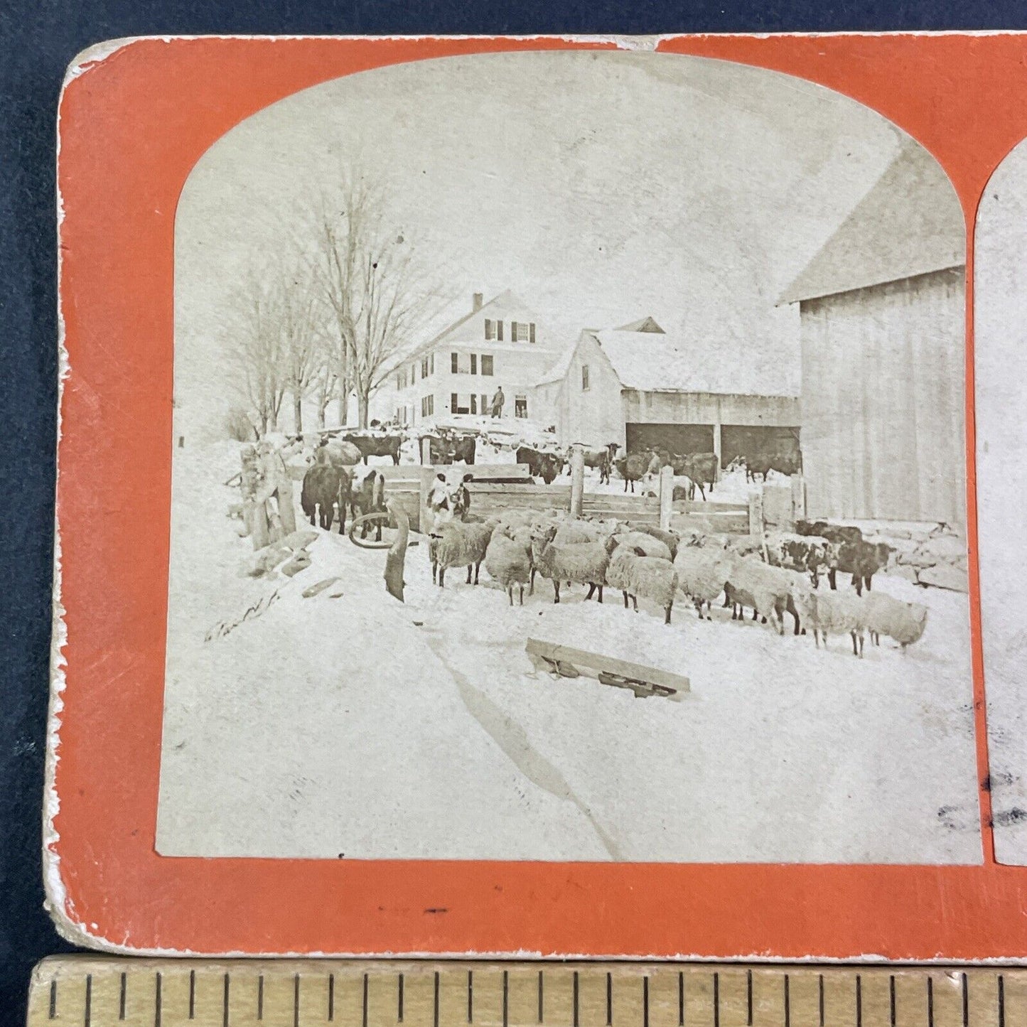 Sheep Farm Near Littleton New Hampshire Stereoview B Kilburn Antique c1869 X1843