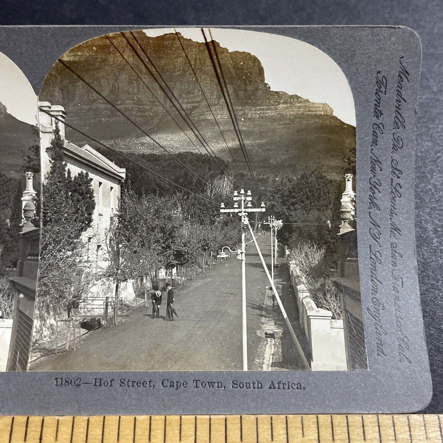 Antique 1900 Main Street In Cape Town South Africa Stereoview Photo Card P5205