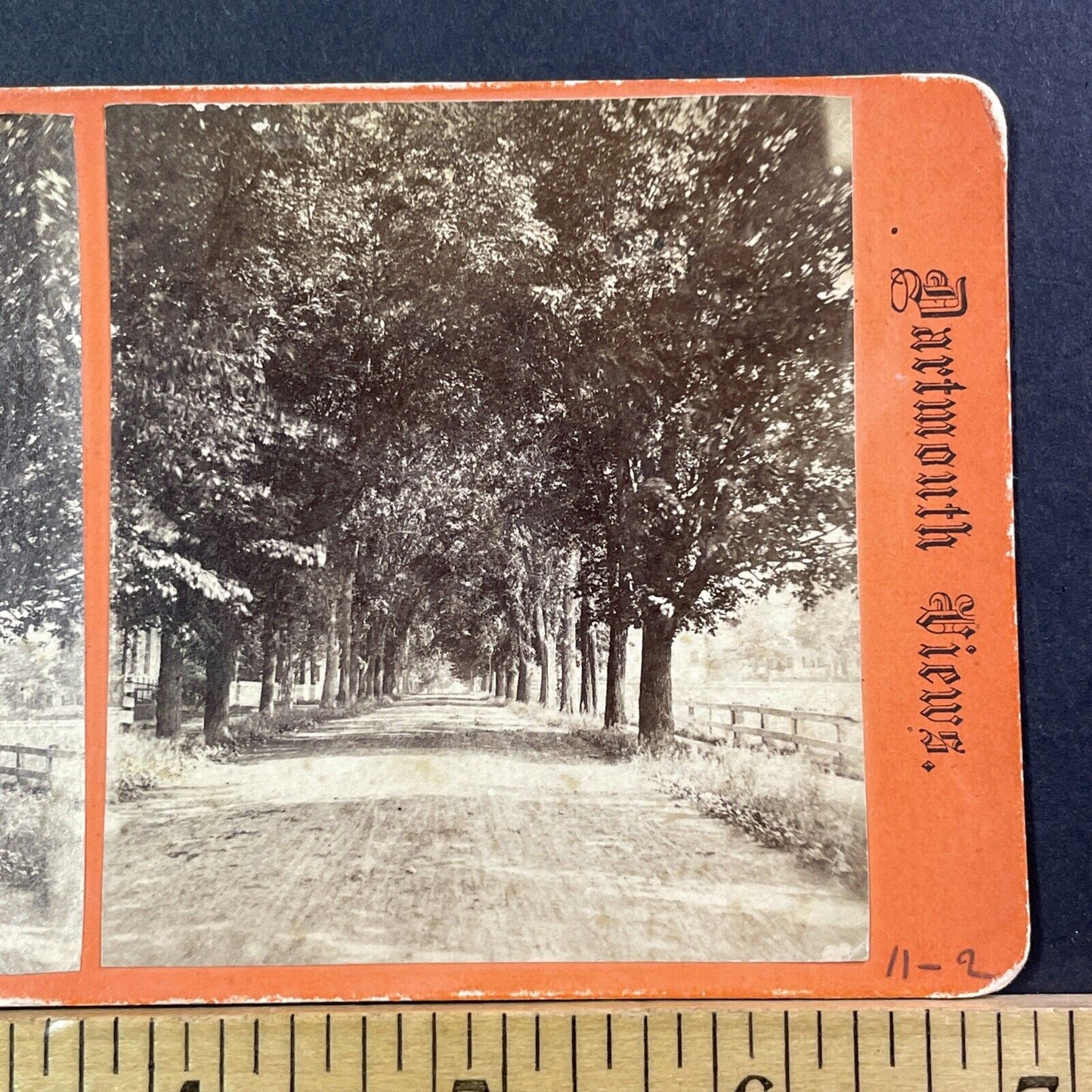 Dartmouth University Laneway Stereoview Hanover NH Photo Card Antique c1870 X938