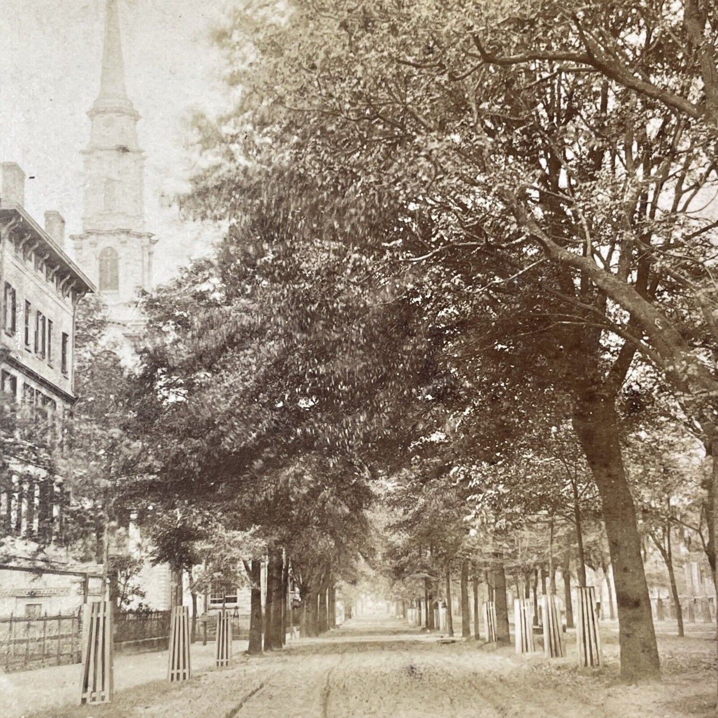 Oglethorpe Avenue Savannah Georgia Stereoview O. Havens Antique c1878 Y1760