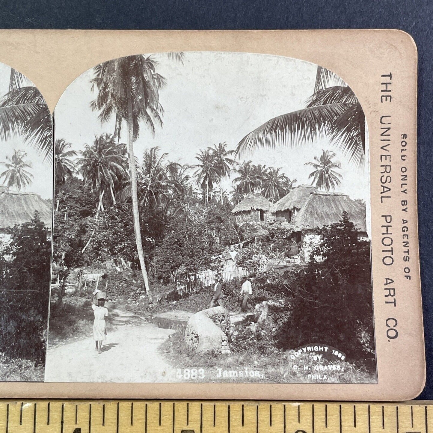 Port Antonio Jamaica Village Stereoview CH Graves Antique c1899 X3228