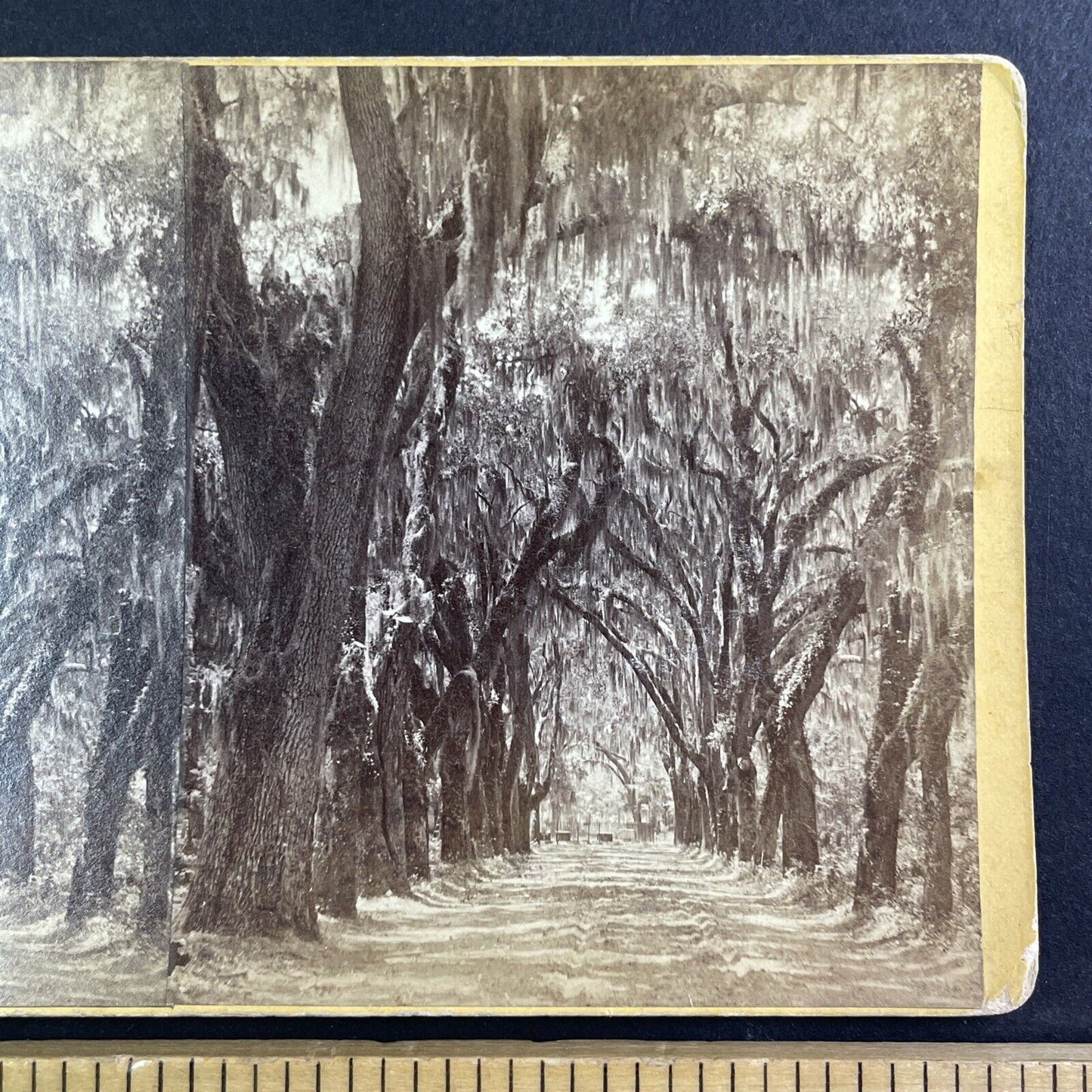 Bonaventure Cemetery Savannah Georgia Stereoview J.N. Wilson Antique c1870s Y467