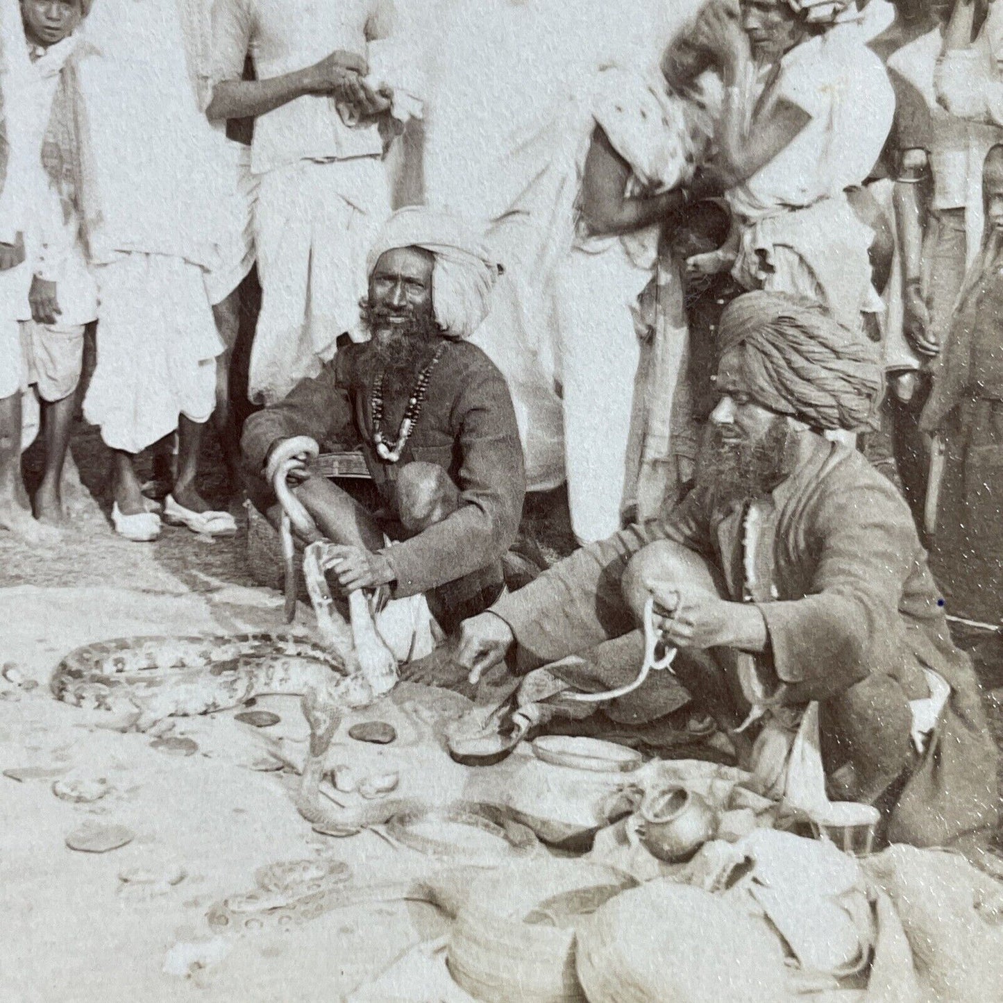 Antique 1903 Snake Charmers Hold Poisonous Snakes Stereoview Photo Card P5653