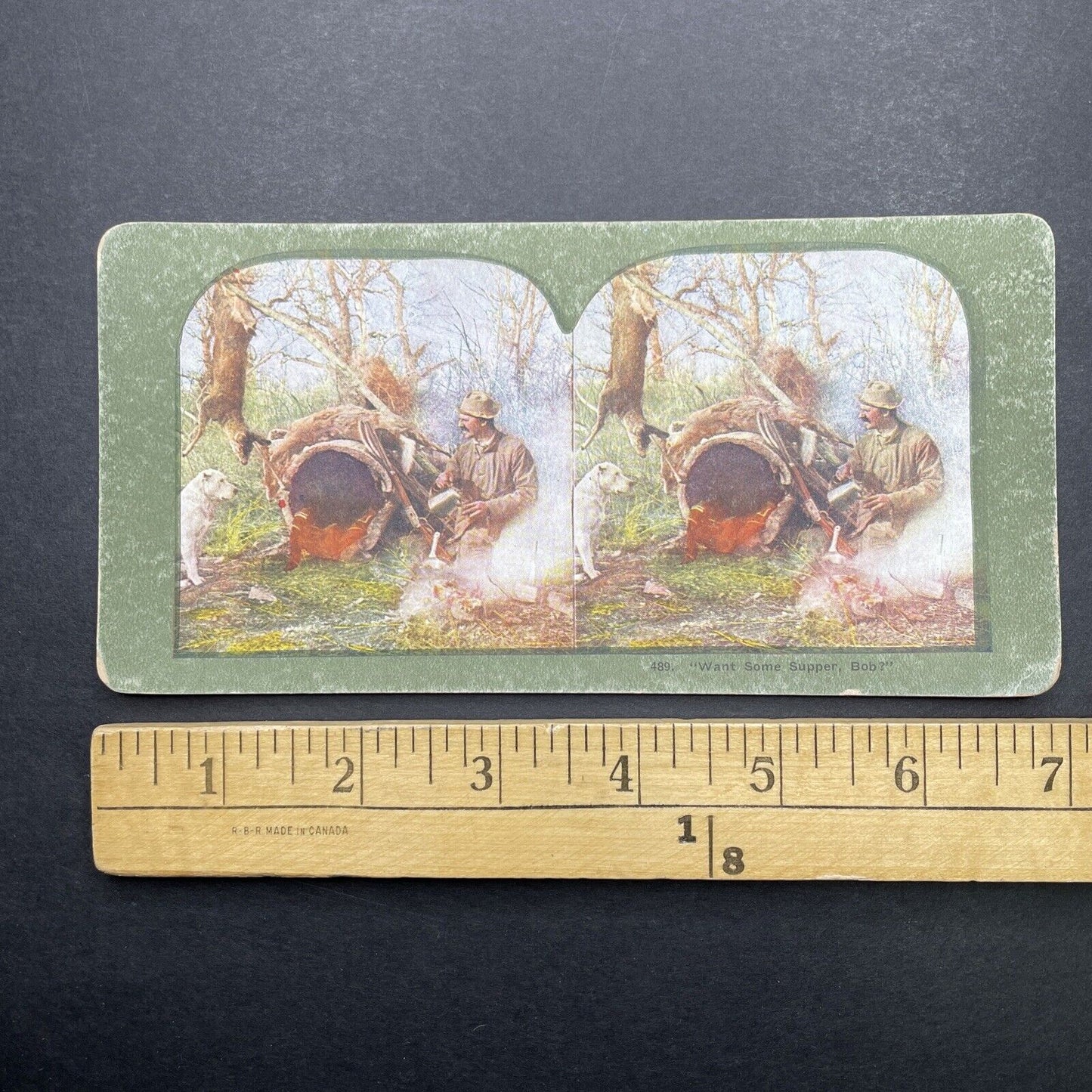 Antique 1899 Deer Hunter & Dog In Camp Stereoview Photo Card P580-070