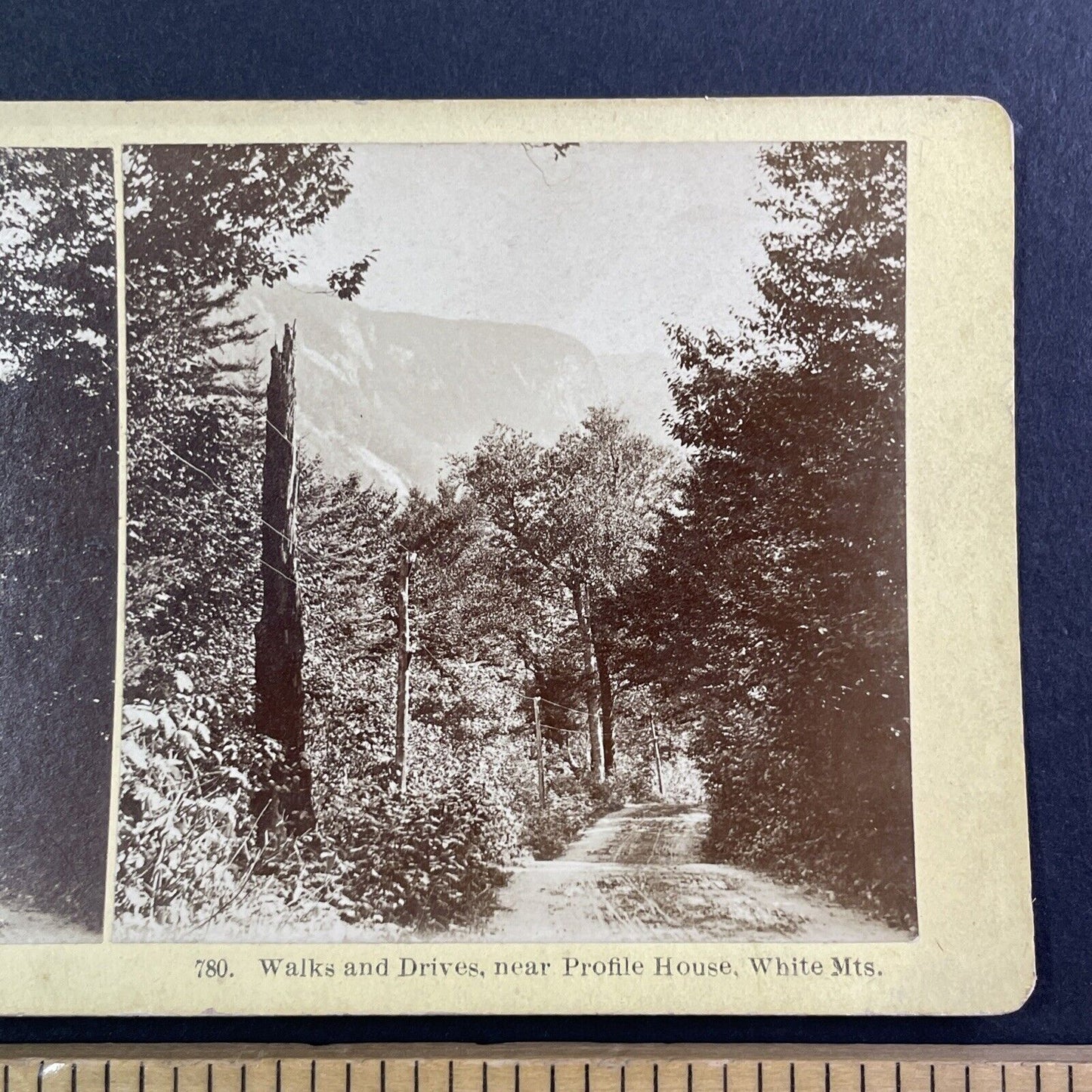 Carriage Road To The Profile House Stereoview New Hampshire Antique c1870s Y903