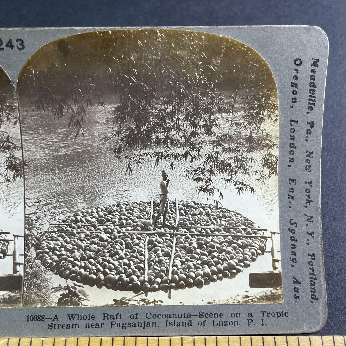 Antique 1906 A Raft Boat Made Of Coconuts Stereoview Photo Card P2220