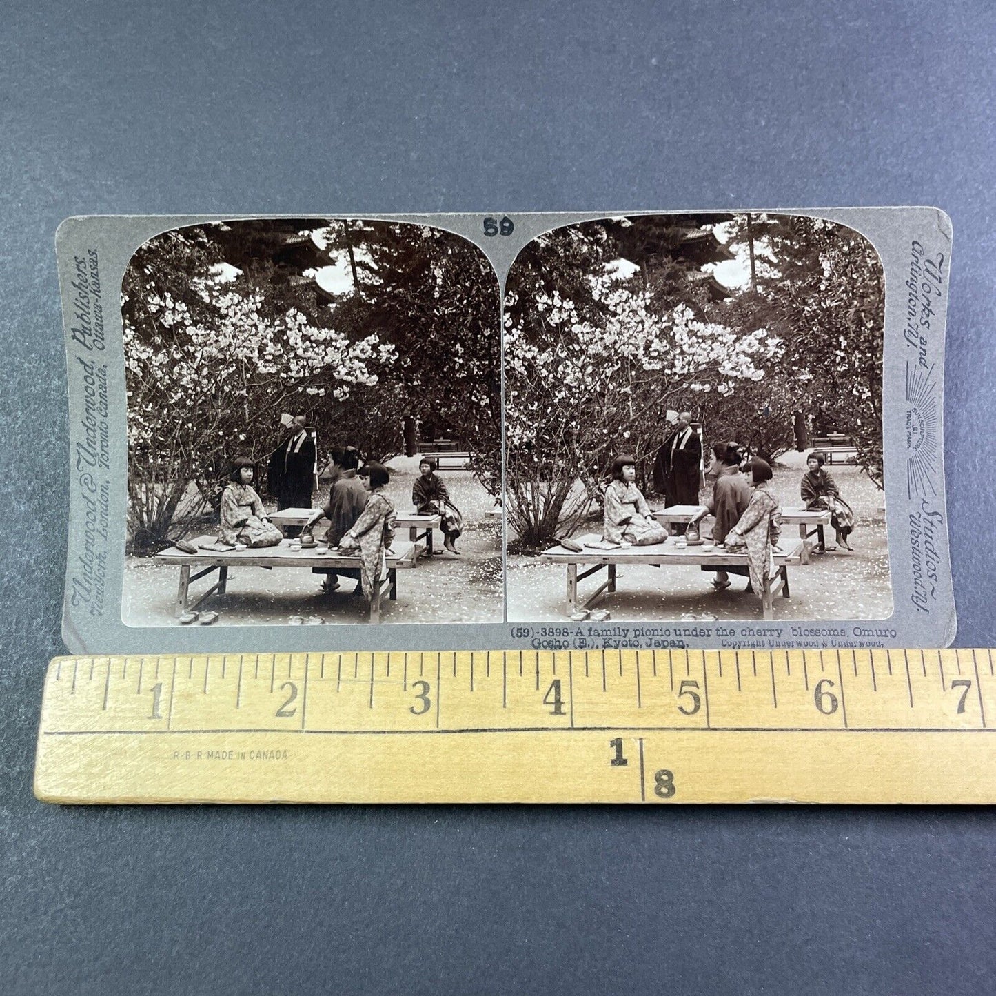 Tea Party under the Cherry Blossoms Stereoview Kyoto Japan Antique c1904 Y2788