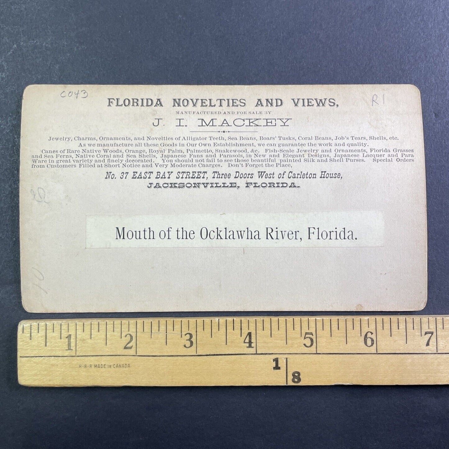 Ocklawaha River Stereoview Welaka Florida Antique c1885 J.I. Mackey Y088