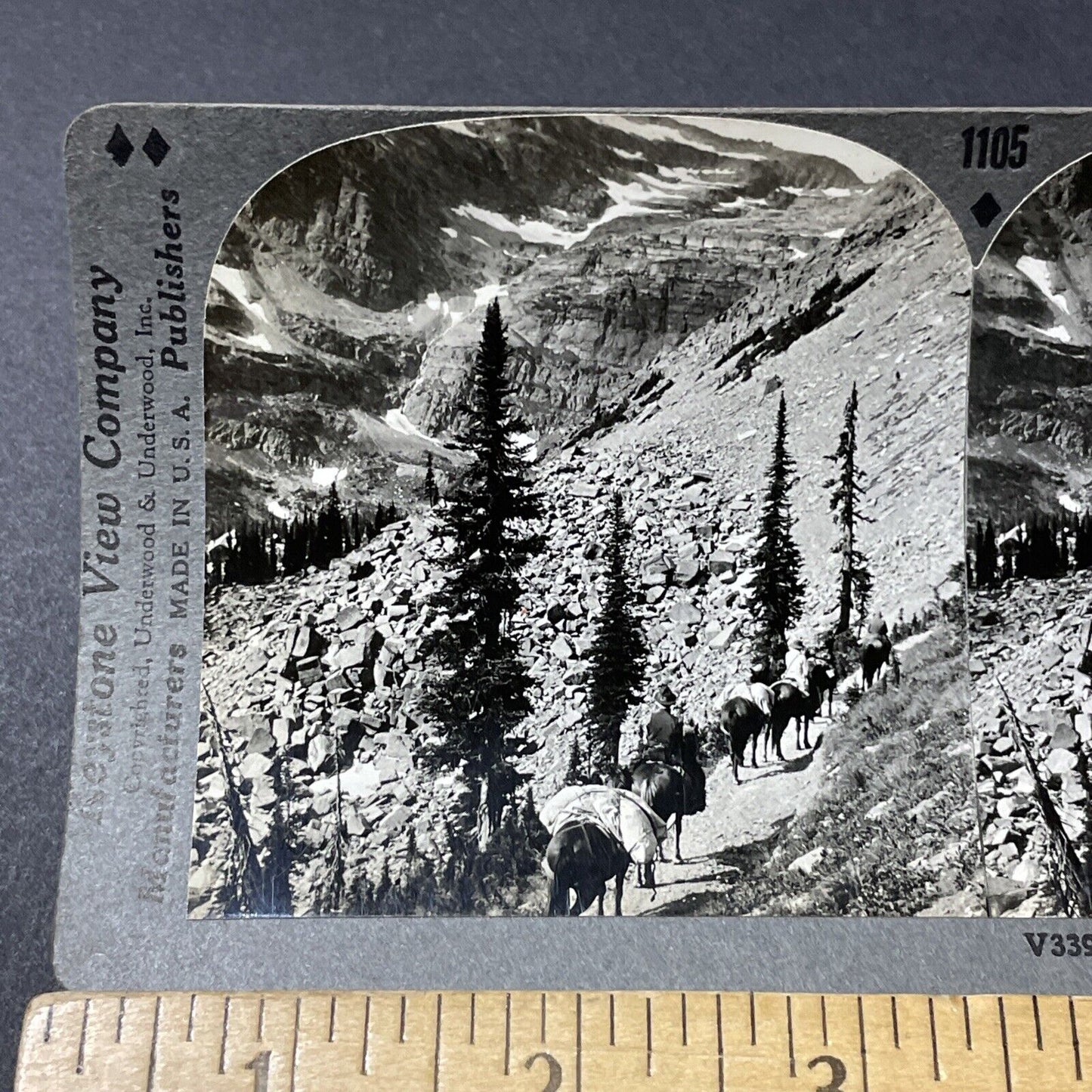 Antique 1910s Horses In Glacier National Park Montana Stereoview Photo Card 2654