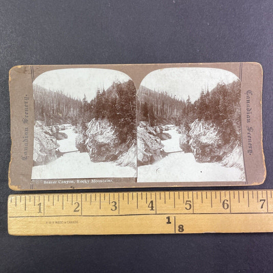 Beaver Canyon Gorge British Columbia Stereoview CPR Rail Views c1890s Y2119