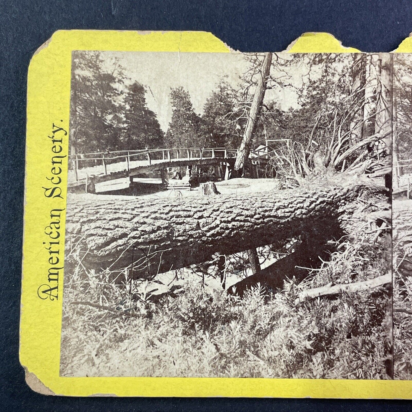 Cathedral Rocks From Bridge Stereoview Yosemite California Antique c1870s Y503