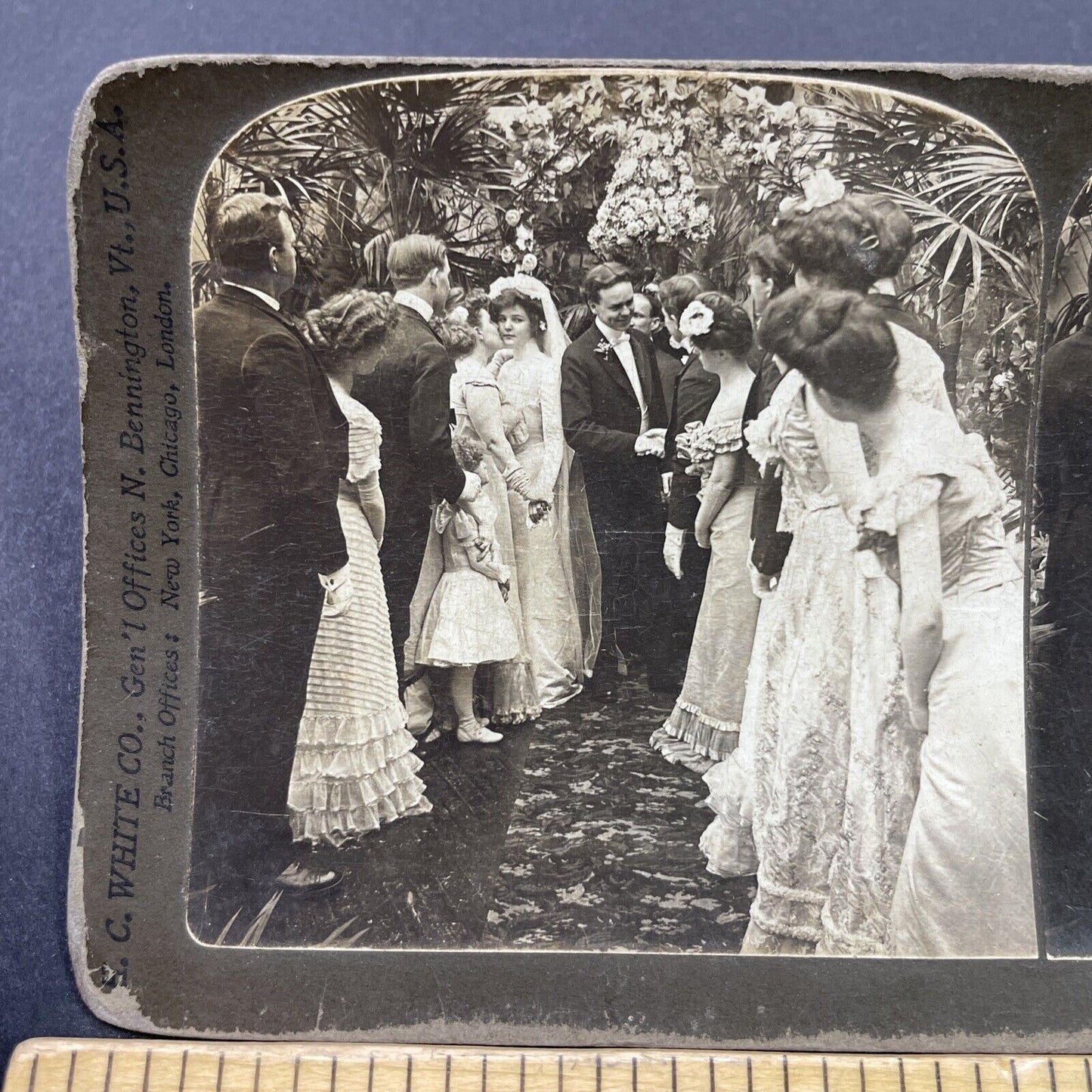 Antique 1902 Bride And Groom Greet Wedding Guests Stereoview Photo Card P2691