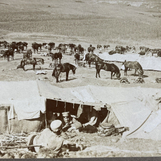 Antique 1904 Japan Cavalry Soldiers Army Tents Stereoview Photo Card P380-12