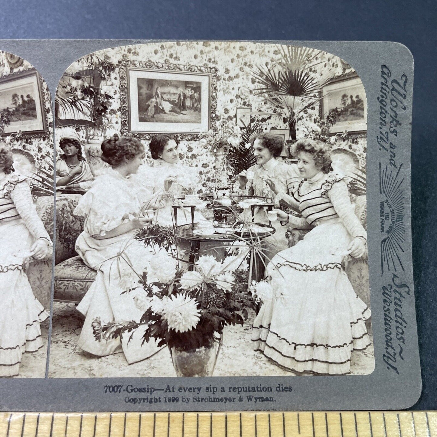 Antique 1899 Society Women Gossip Over Tea Stereoview Photo Card P2869