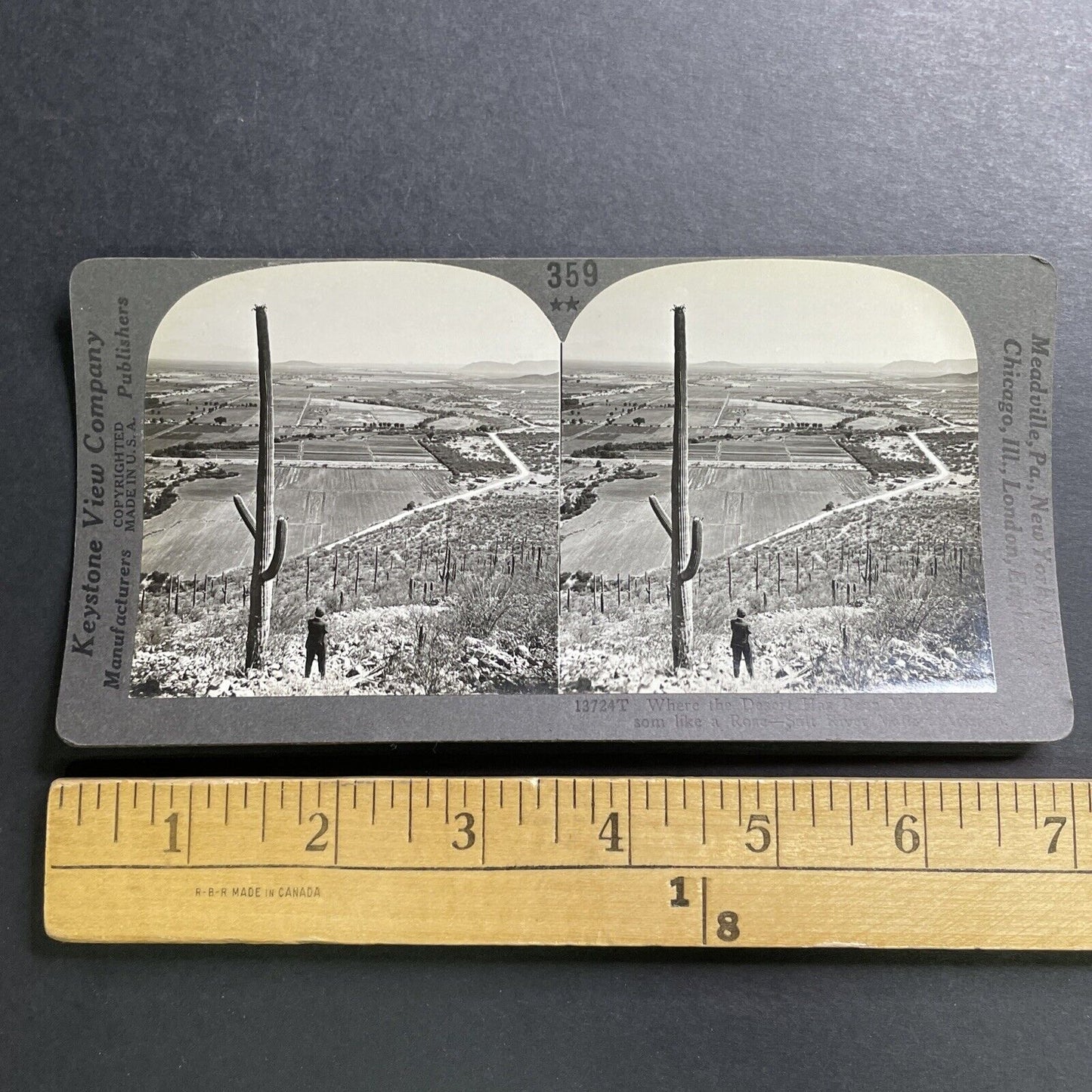 Antique 1918 Salt River Valley Cactus Arizona Stereoview Photo Card P1545