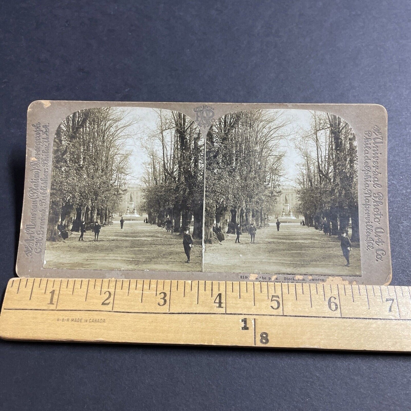 Antique 1900 Royal National City Park Stockholm Stereoview Photo Card P5110