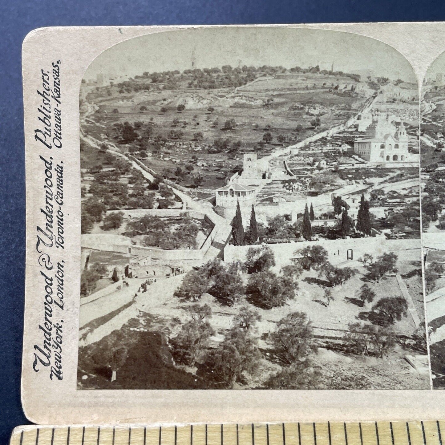 Antique 1899 Garden Of Gethsemane Jerusalem Israel Stereoview Photo Card P3907