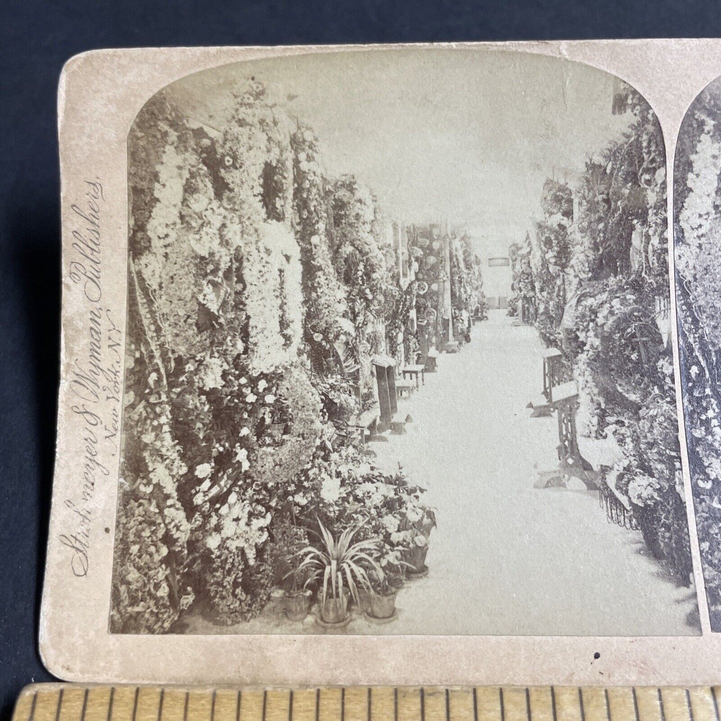 Antique 1894 The Black Death Catacombs Belgium Stereoview Photo Card P4319