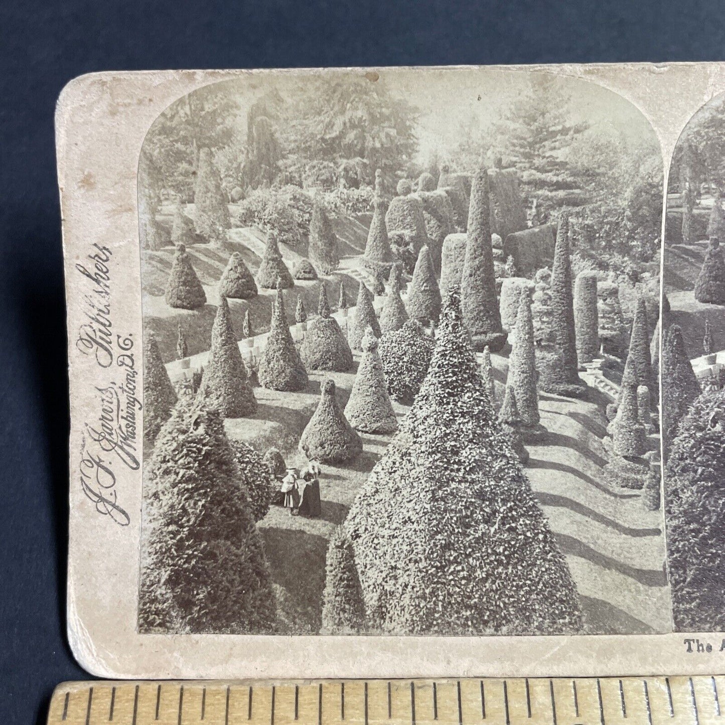 Antique 1894 Hunnewells Gardens Wellesley MA Stereoview Photo Card P4883