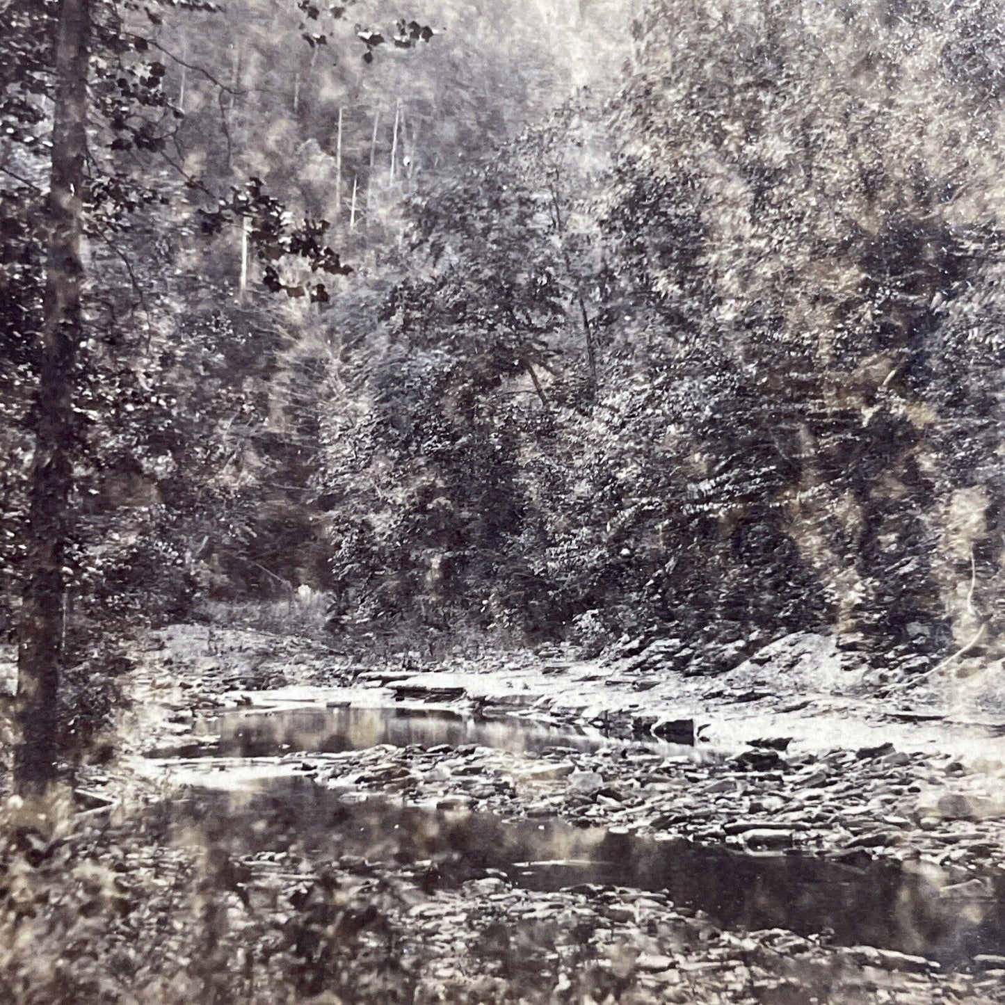 Antique 1860s Ravine Near Taughanic Falls Cayuga Lake Stereoview Photo Card 5118