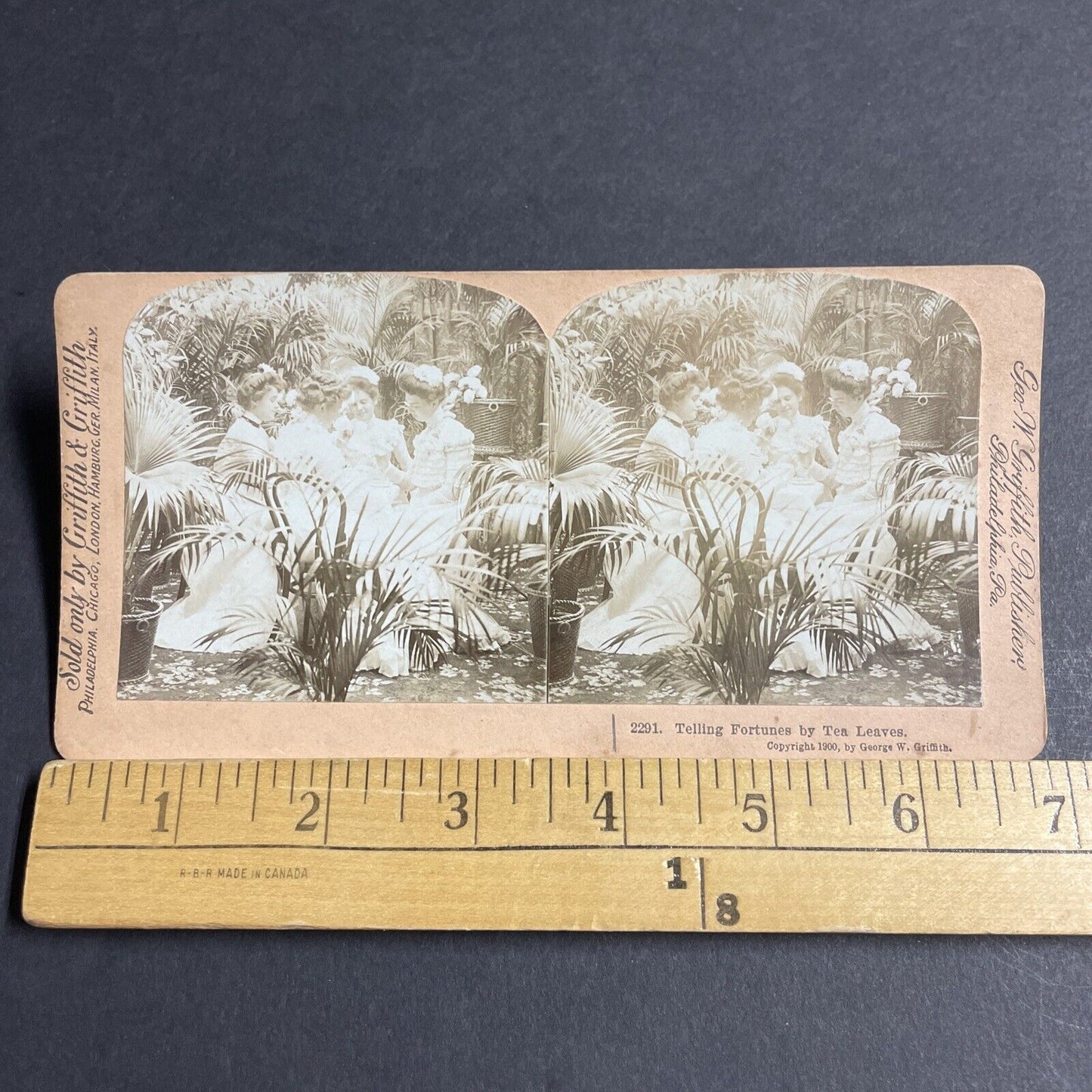 Antique 1900 High Society Fortune Telling Tea Leaves Stereoview Photo Card P4624